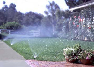 lawn with sprinklers