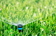 Rain Bird Sprinkler Repair