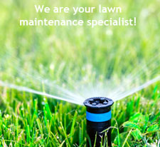 sprinkler maintenance