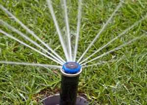 sray nozzle